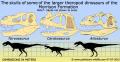 ceratosaurus-allosaurus-torvosaurus-skull-comparison