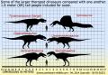 large-theropod-comparison