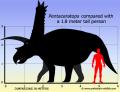 pentaceratops-size