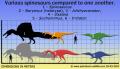 spinosaur-size-comparison