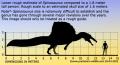 spinosaurus-size