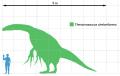 Therizinosaurus_scale
