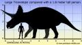 triceratops-size