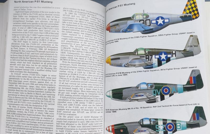 Concise Guide of American Aircraft of WW2_4000Ft_3