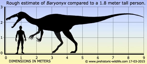 baryonyx-size