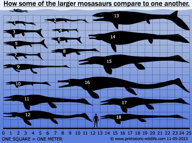 large-mosasaurs