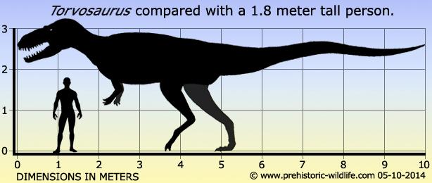 torvosaurus-size