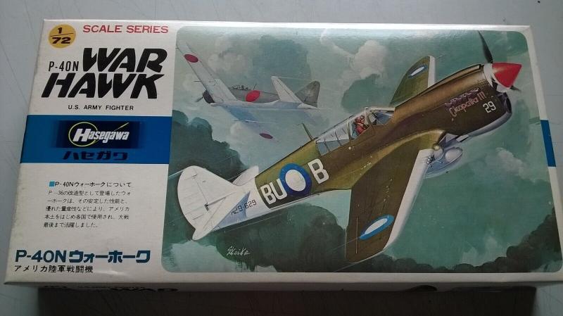 Hasegawa P-40N (3500)