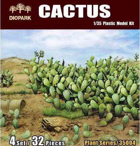 Cactus