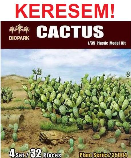 Cactus-1