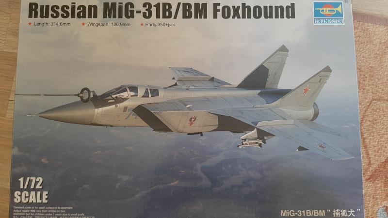 MiG-31 - 9000Ft