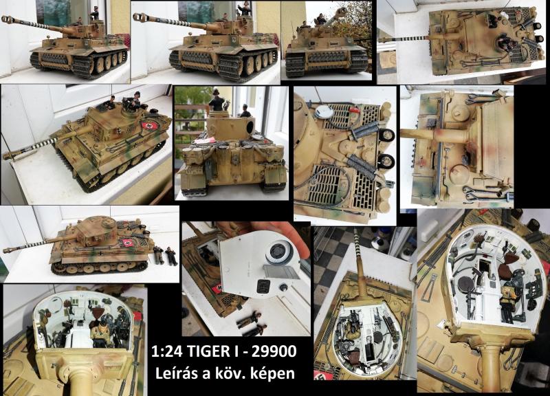24 - TIGER (1)