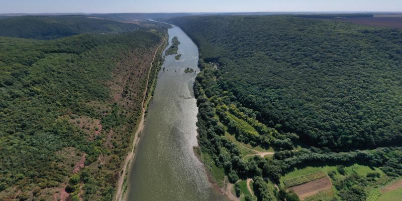 Madártávlatból