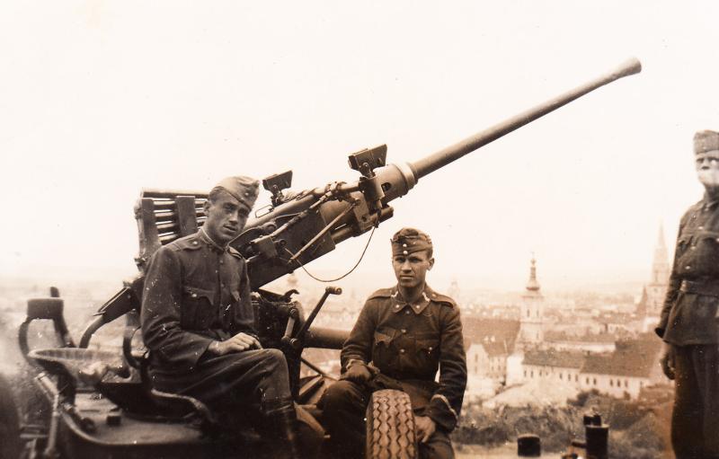 3.30.solyomvari.0009.6