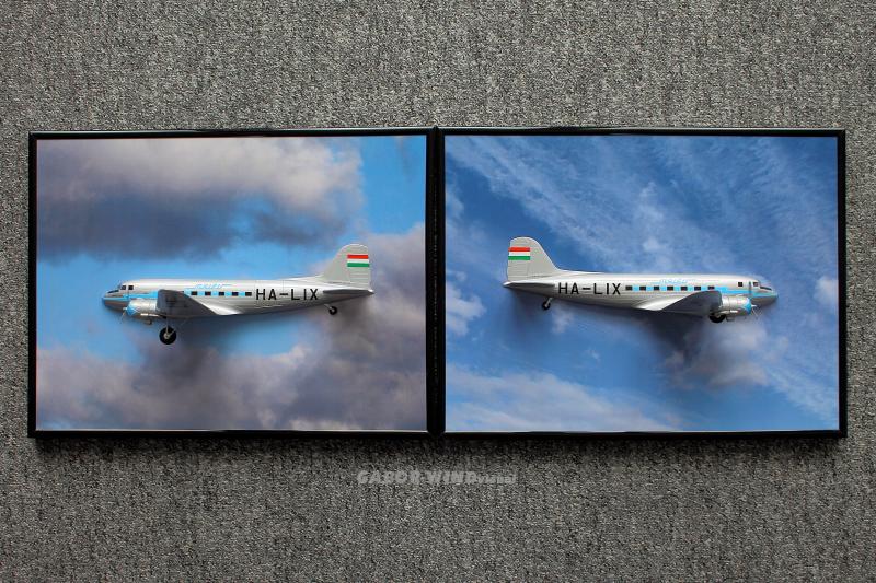 3D faliképek (HA-LIX)