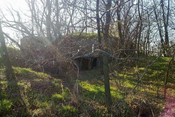 Betonbunker a fák között