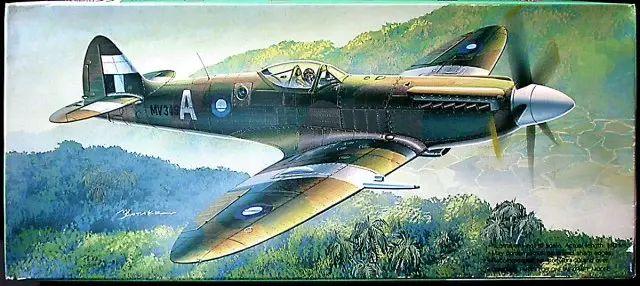 Fujimi Spitfire Mk.XIV

4000,-