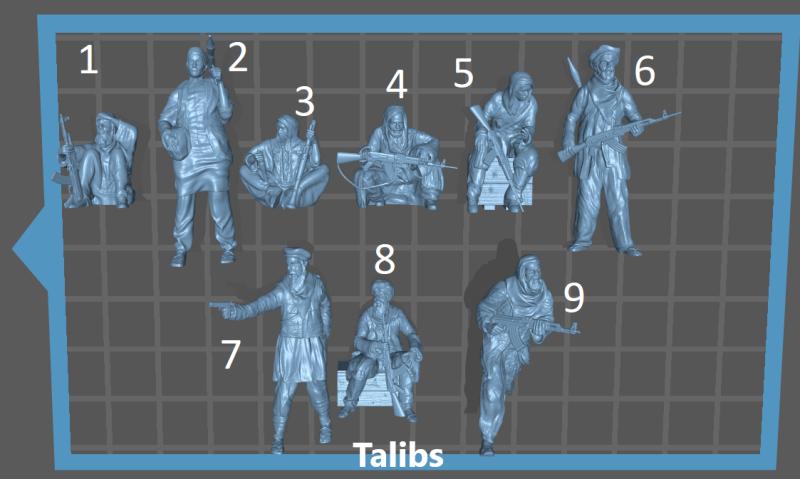 talibs