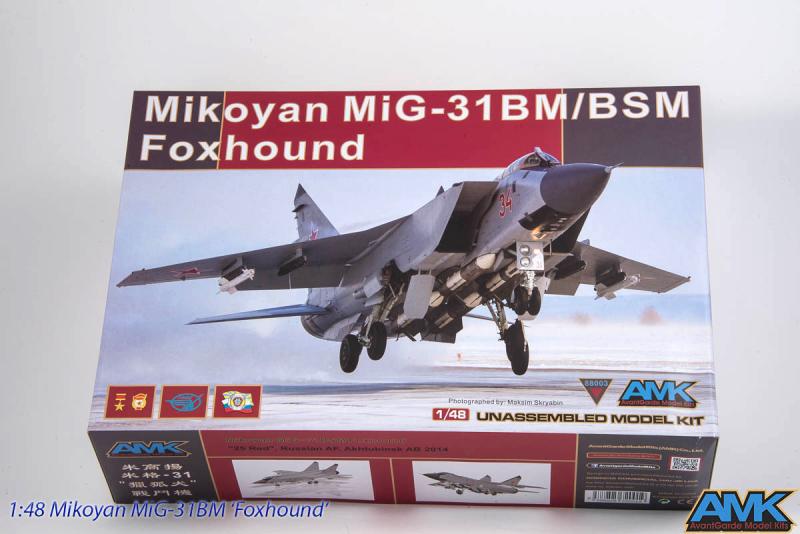 AMK Mig-31

AMK Mig-31