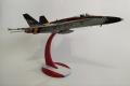 CF-18. 20 years anniversary