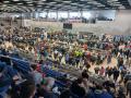 A Mosonshow kiállítóterme csúcsidőben