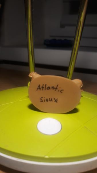 Atlantic-Sioux