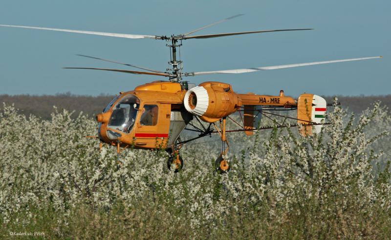 Kamov meggyfarm