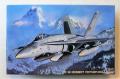A Hasegawa makett