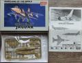 Jaguar_144