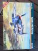 6000 Spitfire 21