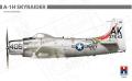 Skyraider