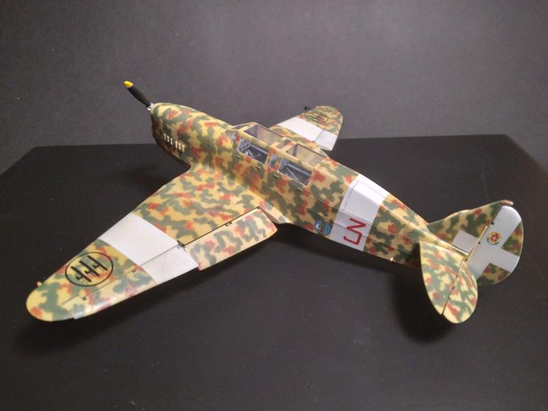 Nardi FN.305 1:48