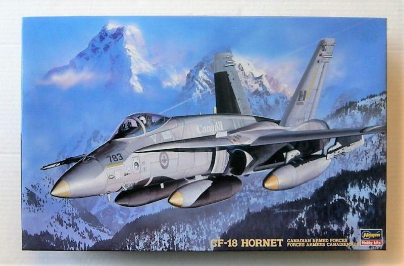 A Hasegawa makett