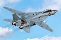 Academy F-14D - 9000Ft