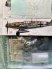 IMG_9912.jpeg