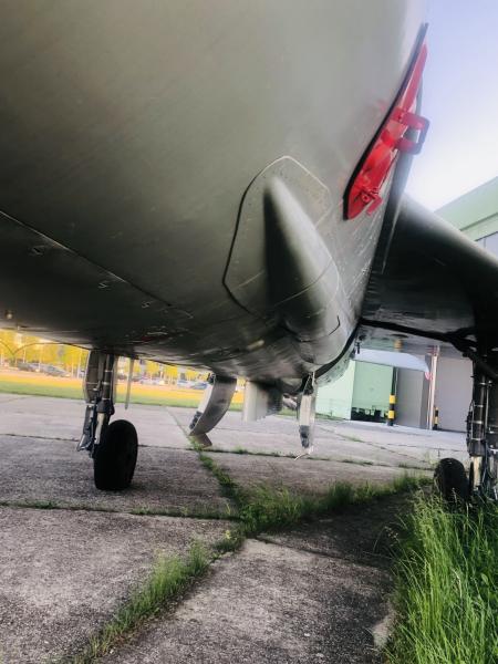 Bal oldal törzsféklap