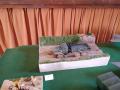IMG_20250628_095823