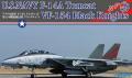 Fujimi F-14A - 11500Ft
