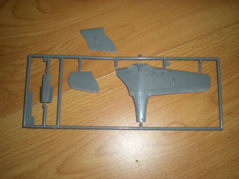 DSCN0421-4