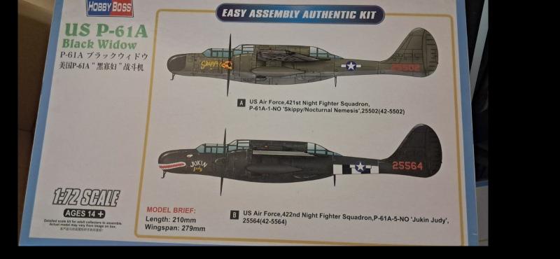 hobbyboss p-61a