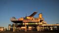 WP_20250731_17_28_58_Pro