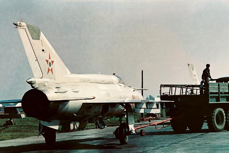 mf kecskemét svanc