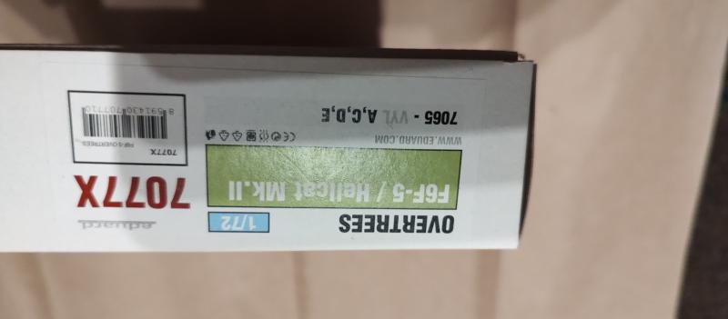 Eduard Hellcat overtree

2300
