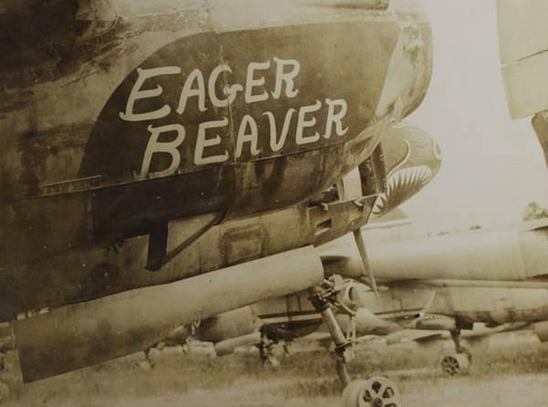 Ennek a korai P-38F/G Lightning-nak az orra nagyon igényesen kidolgozott ragadozó állatot, talán egy fekete párducot formáz
