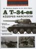 t34