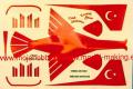 F-5A Turkish stars matrica 500 Ft