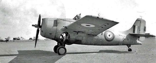 Martlet III – 3876 (FAA sorozatszám: AX746), "H" jelzésű, 805. század.
Ez a repülőgép a volt görög megrendelésből származik. Figyeljük meg a fix szárnyakat és a 4 szárnyfegyvert. Figyelemre méltó a Curtiss Electric légcsavar lépcsős aggyal, a széles Pratt & Whitney motorburkolat, oldalanként egy hűtőnyílással, és az F4F-3 típusú pitot-cső. Hiányoznak róla a közbenső hűtőbeömlők. A repülőgép eredeti szállítási festése Non-Specular Light Grey (US Navy). Ezenkívül az eredeti fotó ortokromatikus filmmel készült. Az AMxxx sorozatszámú Martlet III-asok F4F-3 típusúak voltak. A volt görög rendelésből származók F4F-3A típusúak voltak.