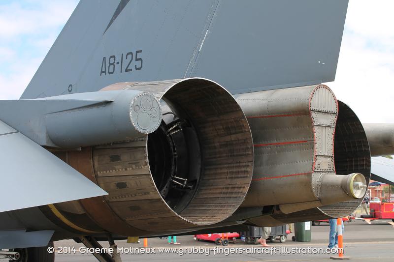 General_Dynamics_F-111_Walkaround_A8-125_Point_Cook_2014_34_GrubbyFingers