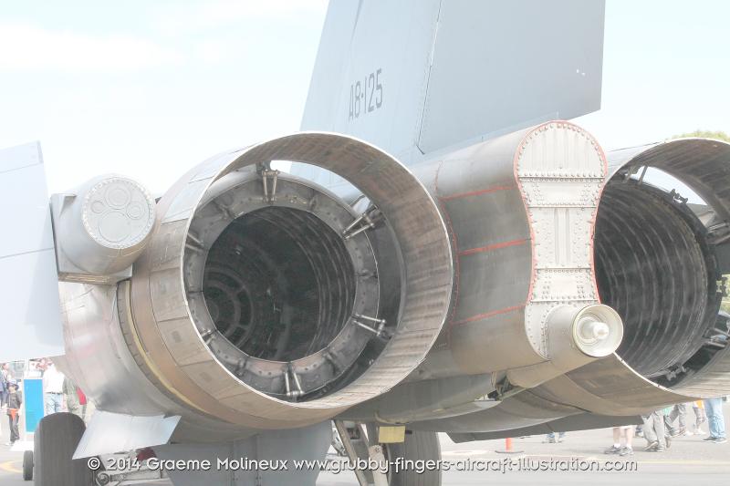 General_Dynamics_F-111_Walkaround_A8-125_Point_Cook_2014_35_GrubbyFingers