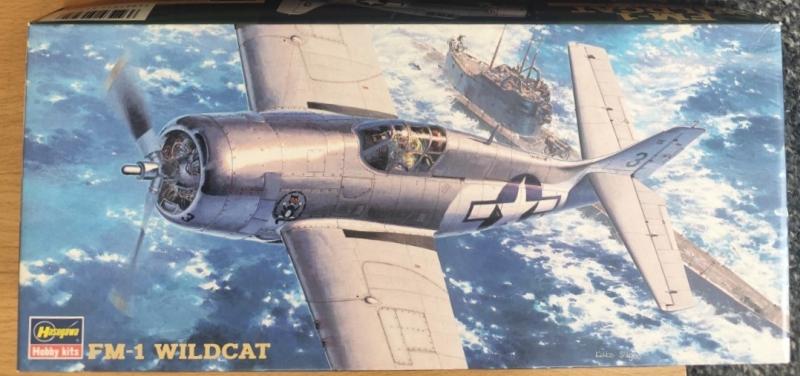 Hasegawa F-1 Widcat (3500)